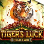 Luck of Tiger slot game reels with tiger-themed symbols on an online casino screen