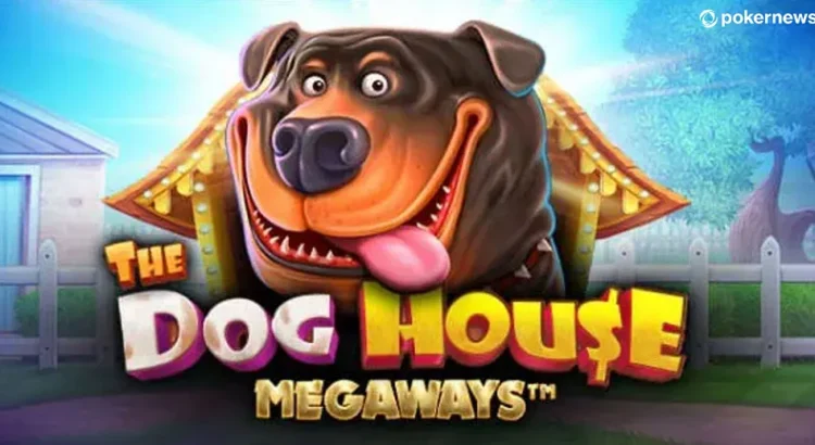 The Dog House Megaways slot game reels and bonus feature overview