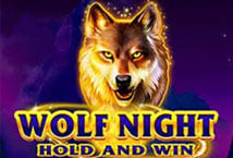 Wolf Night slot game reels on an online casino interface